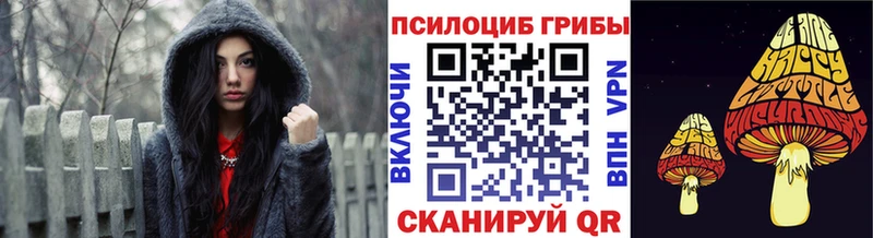 где купить наркотик  darknet клад  Псилоцибиновые грибы GOLDEN TEACHER  Иваново 